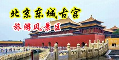 操大逼操大逼中国北京-东城古宫旅游风景区